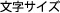 文字の大きさ